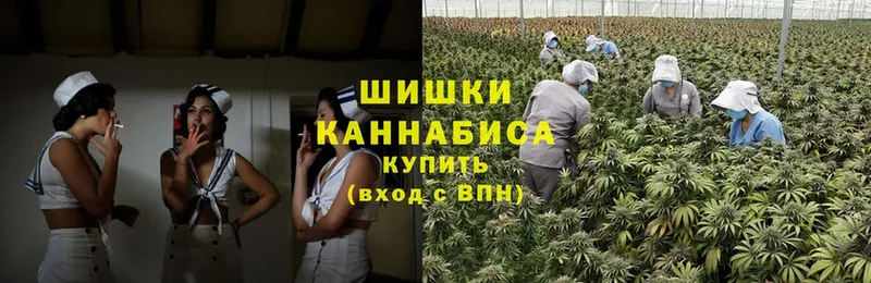 Канабис OG Kush  Агрыз 